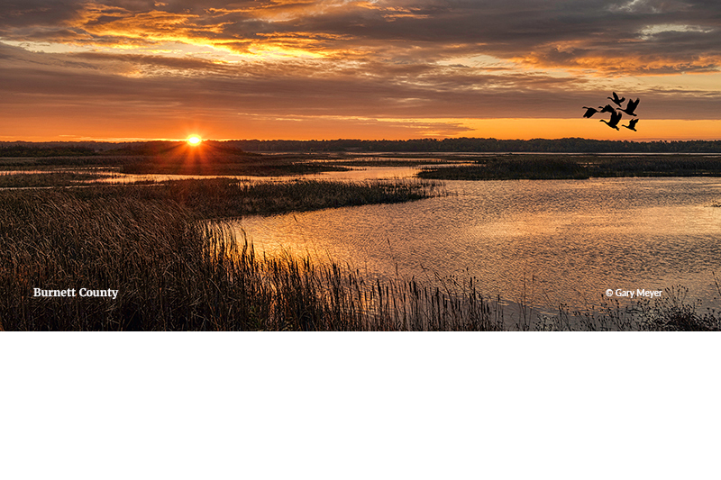 Gary Meyer Sunrise Named 800 CROP The sun sets over water while a flock of duck fly overhead.